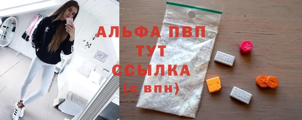 хмурый Магас