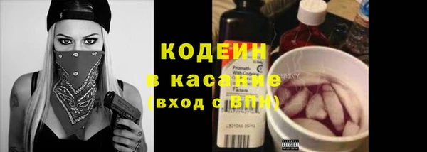 хмурый Магас