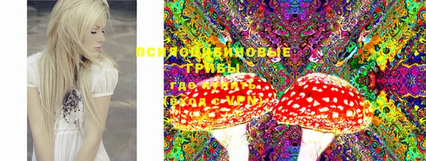 хмурый Нижний Тагил