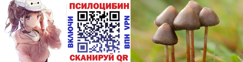 Галлюциногенные грибы Psilocybine cubensis  Сураж 